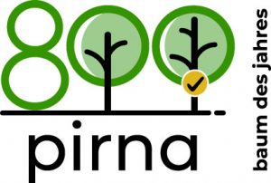 Logo Pirnas Baum des Jahres